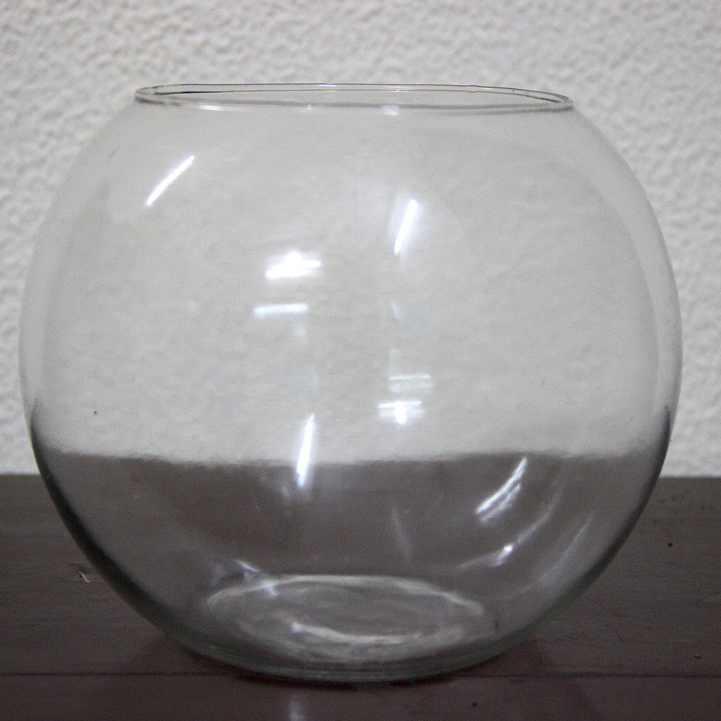 10" Glass Fish Pot Planter W/o Neck