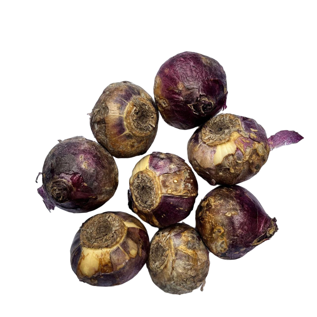 Hyacinth ‘Apricot Passion’ (Bulbs)