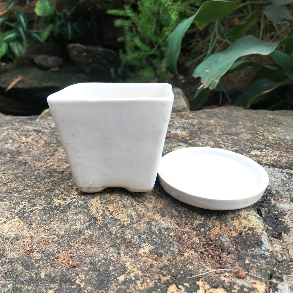 On The Move Ceramic Pot With Tray