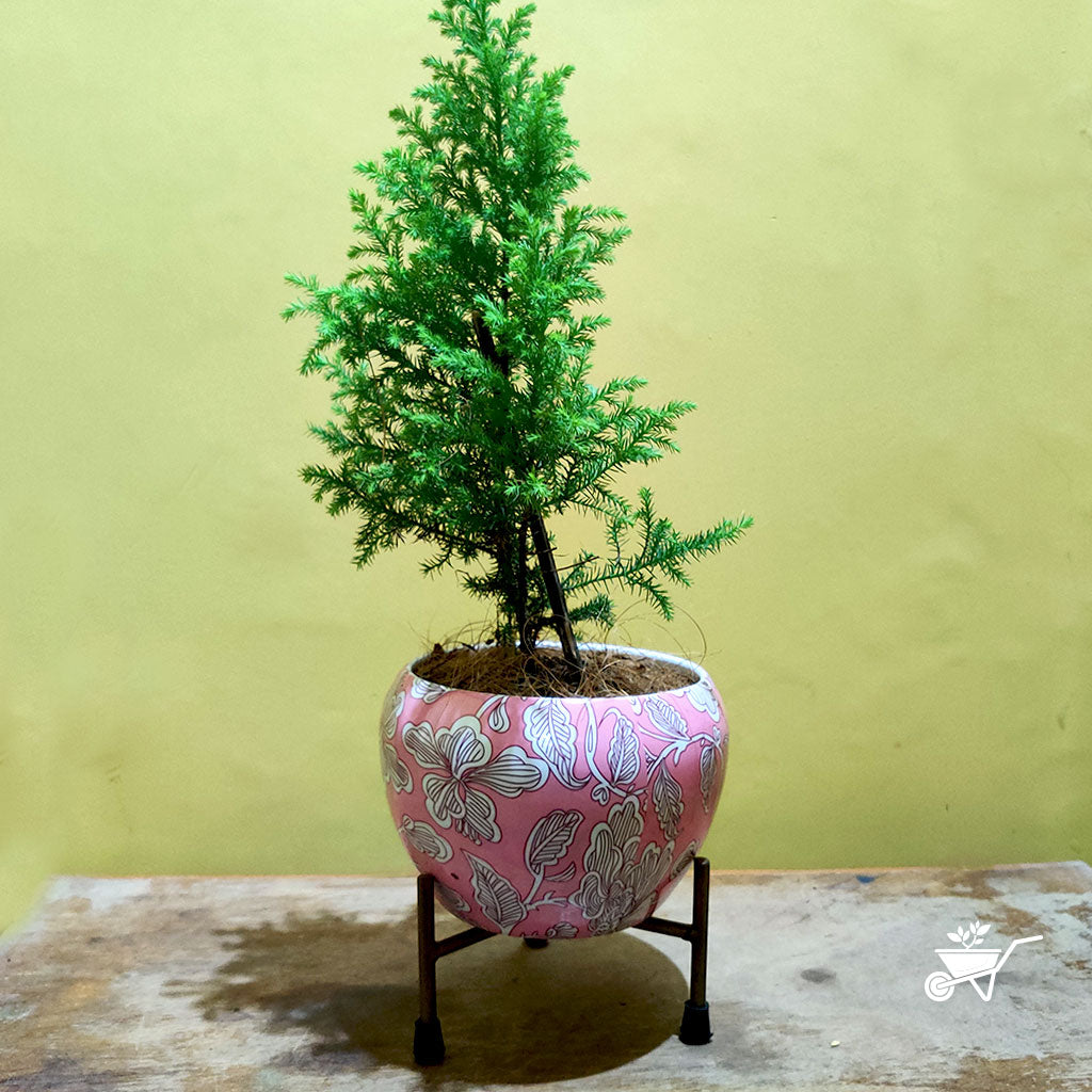 Coral Pastel Metal Pot With Stand