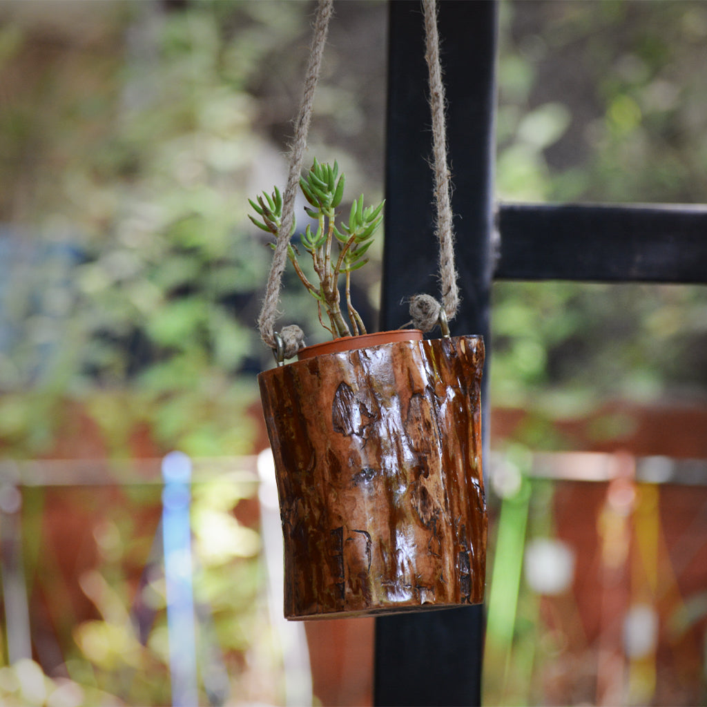  Tawny Dangle Hanging Planter