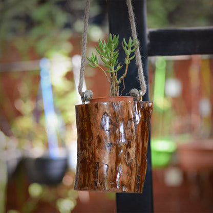  Tawny Dangle Hanging Planter