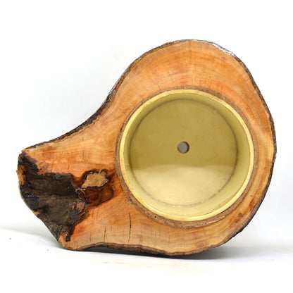  Umber Firkin Planter