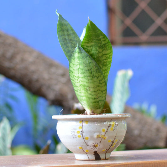  A Stormy Afternoon Ceramic Pot