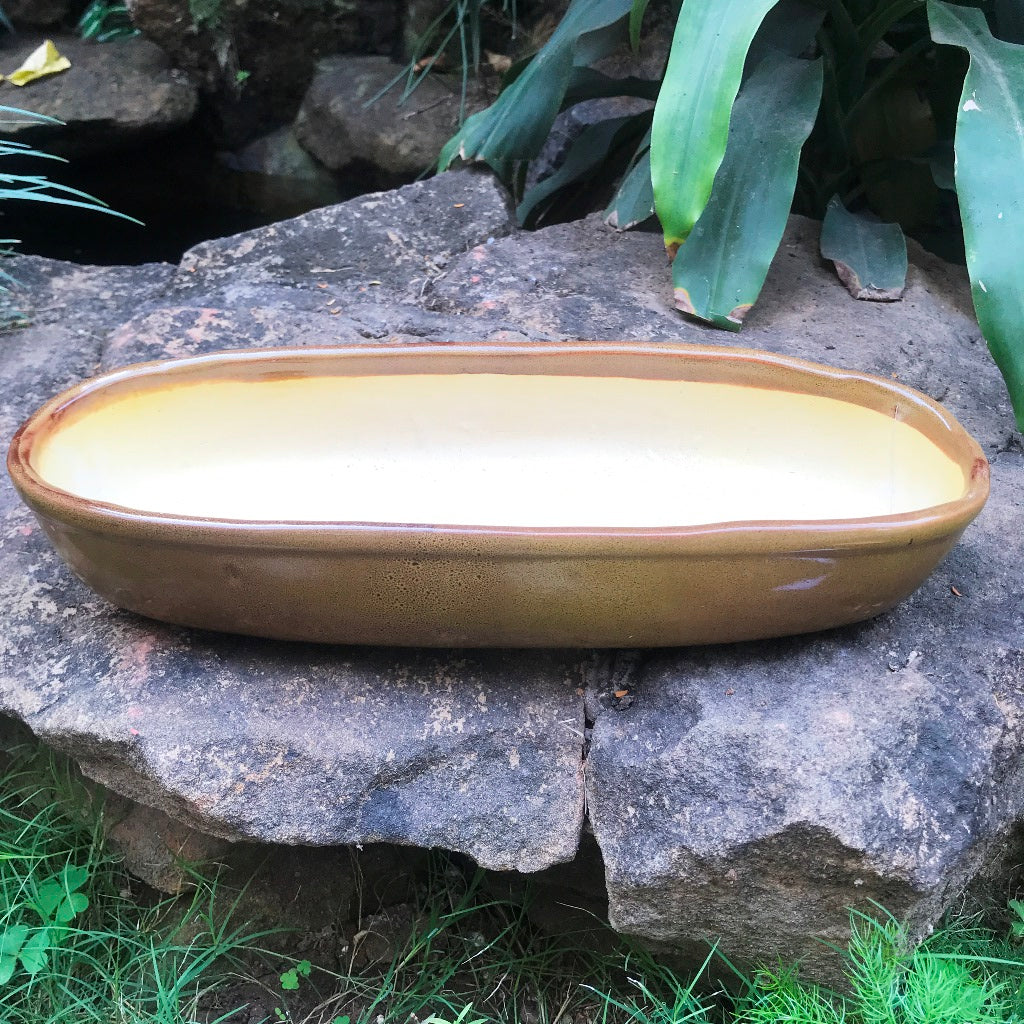  Chiselled Bonsai Ceramic Tray