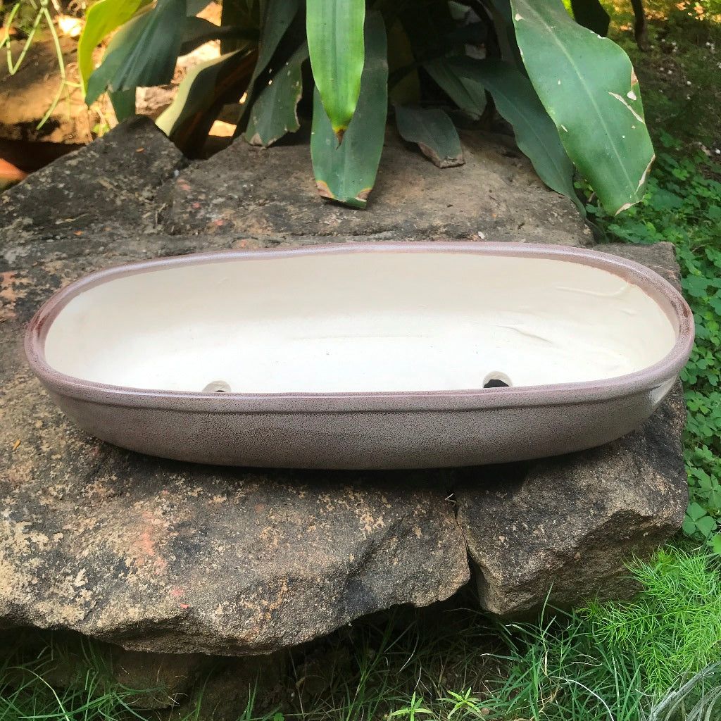  Chiselled Bonsai Ceramic Tray