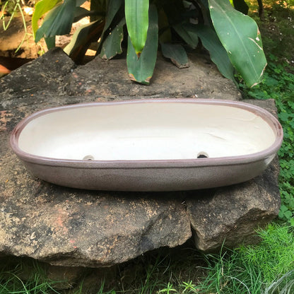  Chiselled Bonsai Ceramic Tray