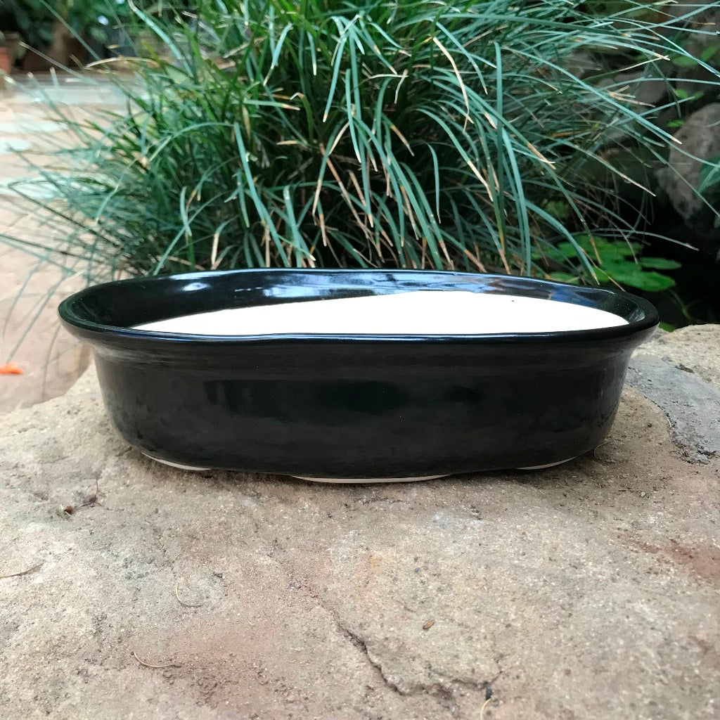  Bonsai Oval Ceramic Planter