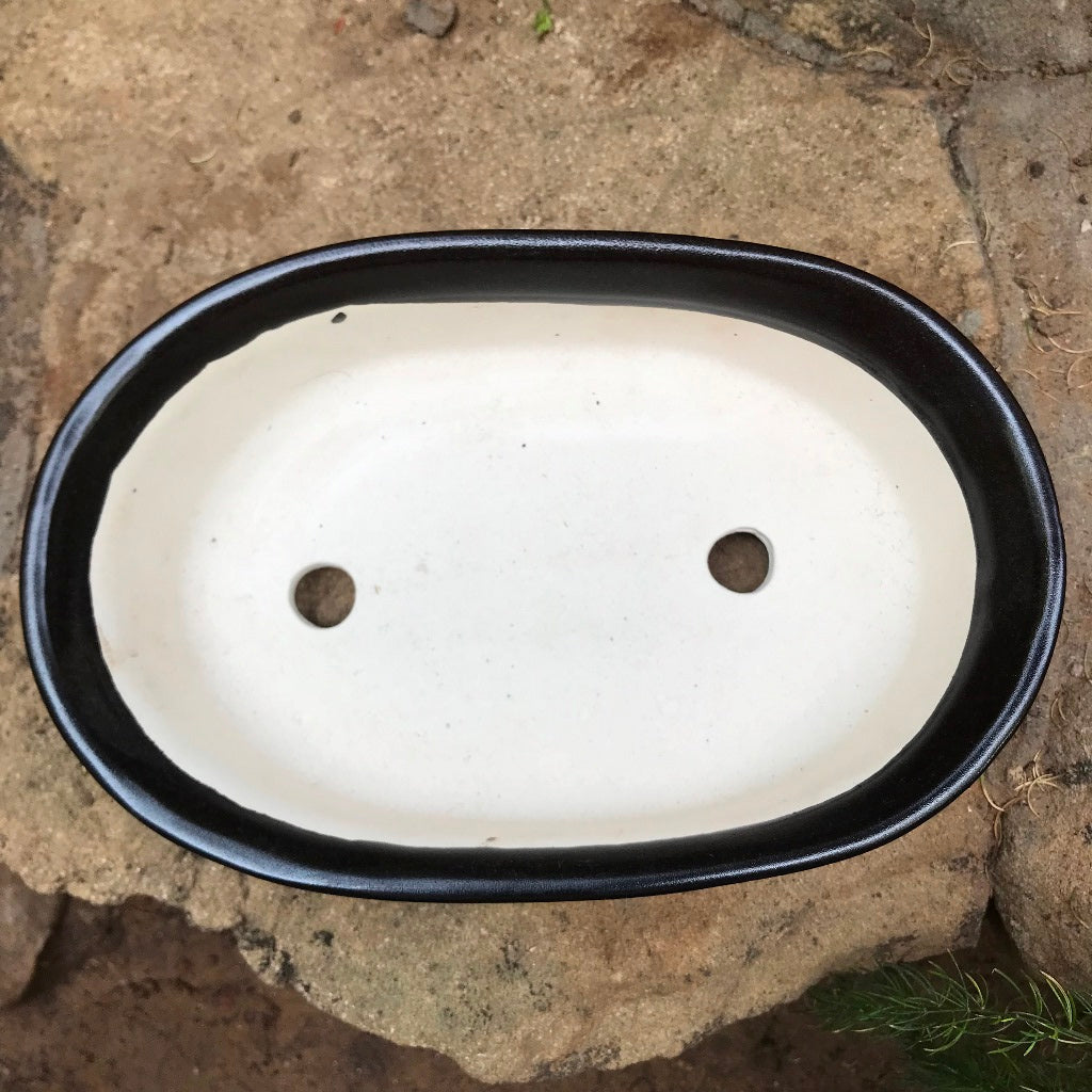  Bonsai Oval Ceramic Planter