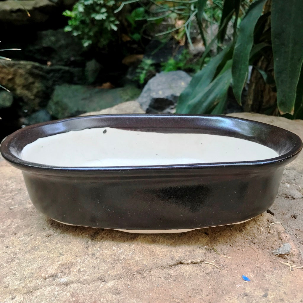  Bonsai Oval Ceramic Planter