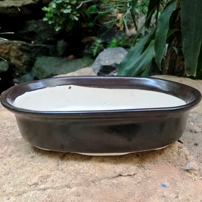  Bonsai Oval Ceramic Planter
