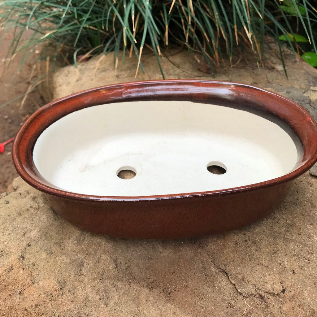  Bonsai Oval Ceramic Planter