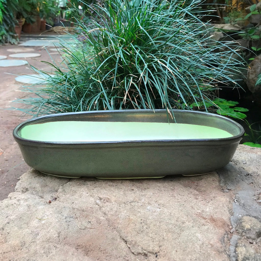  Chiselled Bonsai Ceramic Tray