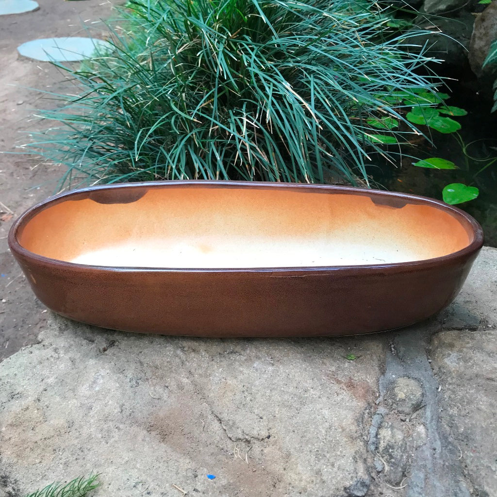  Chiselled Bonsai Ceramic Tray