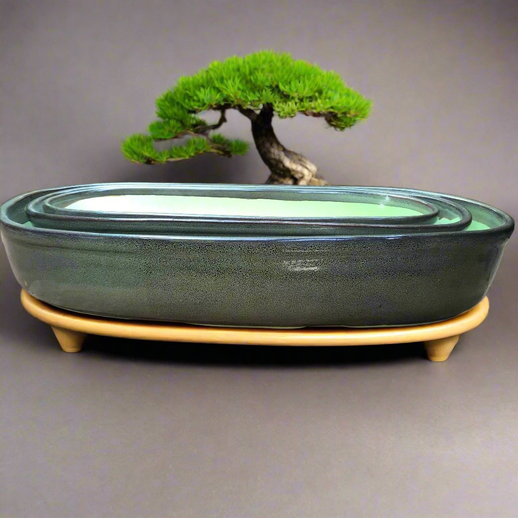  Set Of 2 Chiselled Bonsai Ceramic Tray Kok
