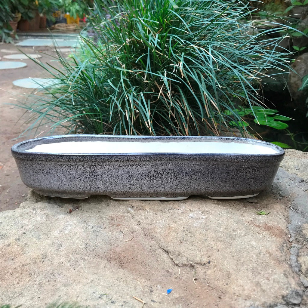  Chiselled Bonsai Ceramic Tray