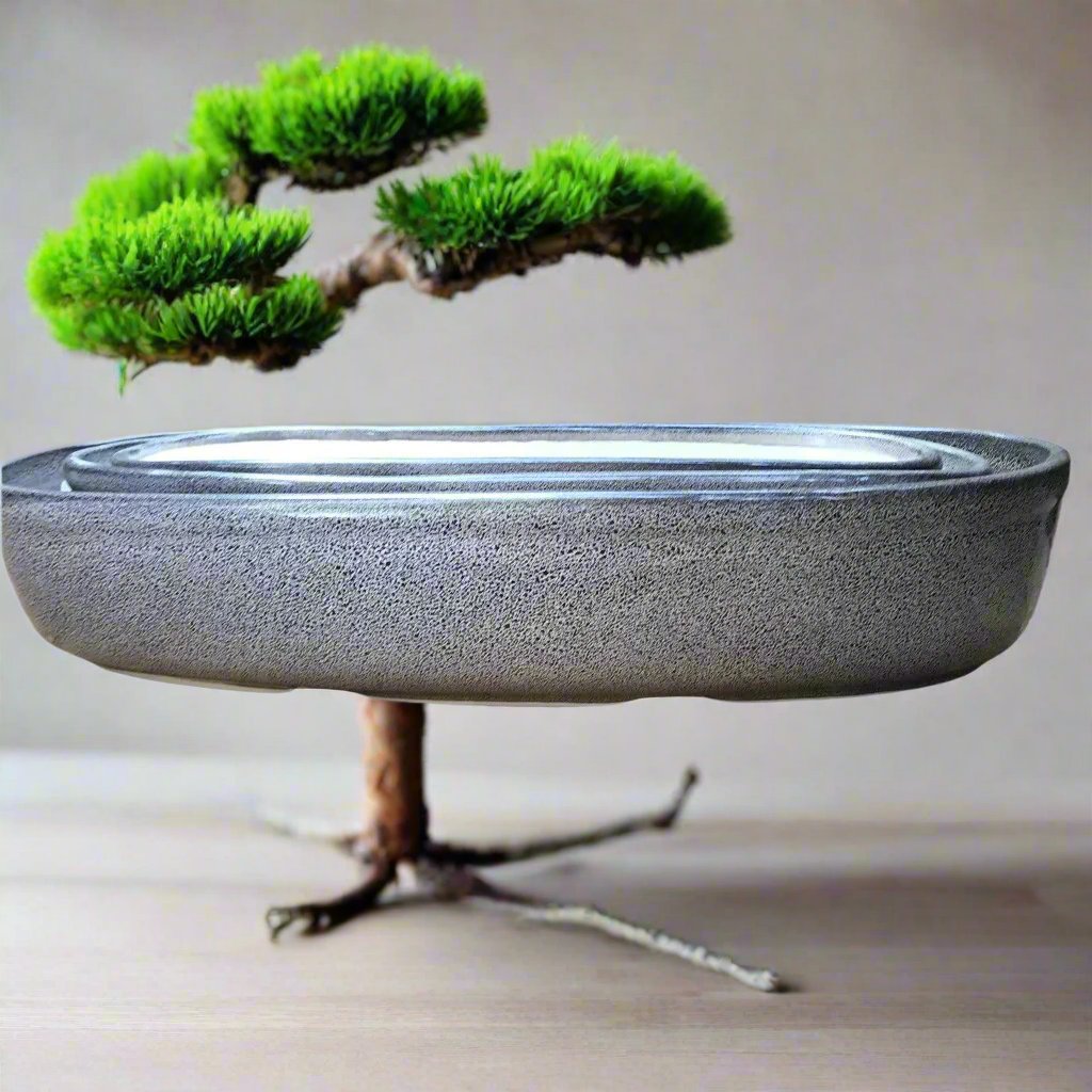  Set Of 3 Chiselled Bonsai Ceramic Tray
