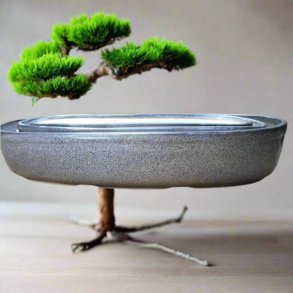  Set Of 3 Chiselled Bonsai Ceramic Tray