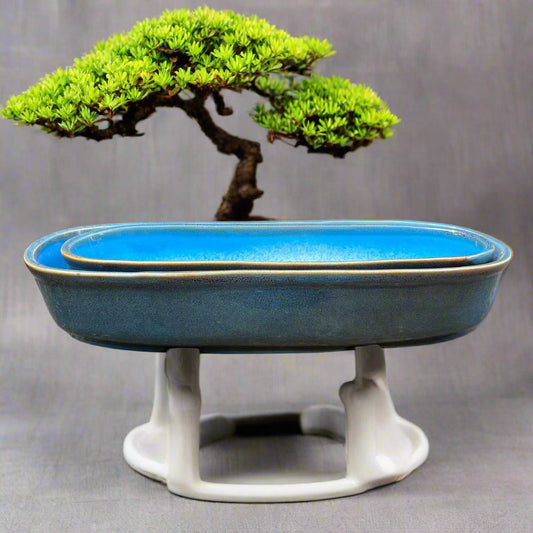  Set Of 2 Chiselled Bonsai Ceramic Tray Kok