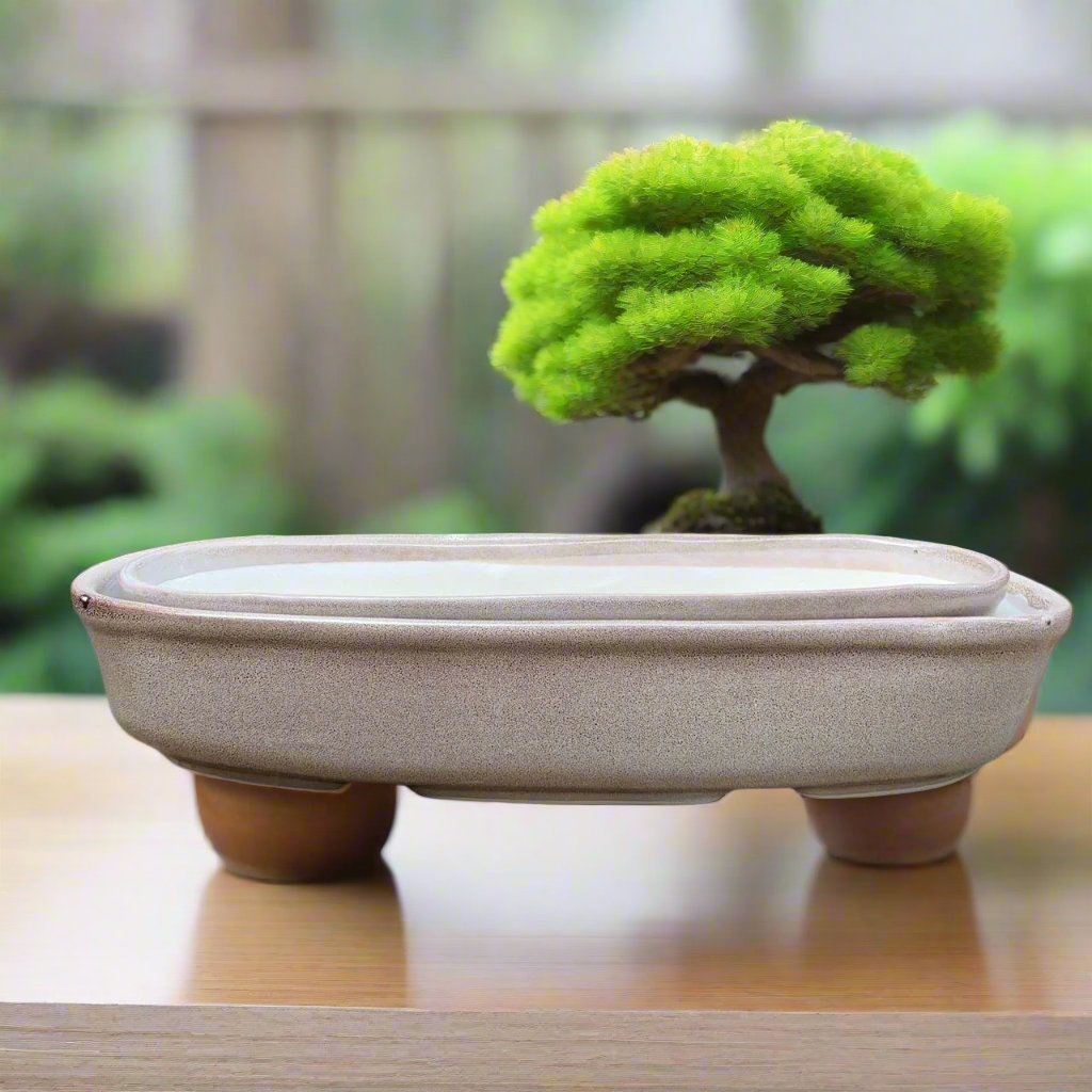  Set Of 2 Chiselled Bonsai Ceramic Tray Kok