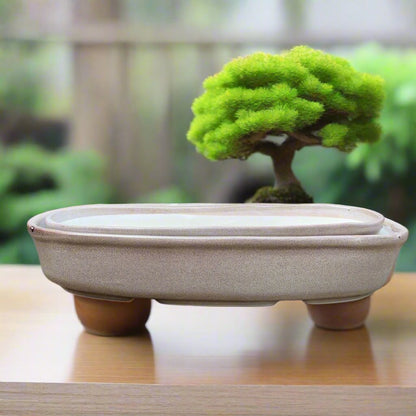  Set Of 2 Chiselled Bonsai Ceramic Tray Kok