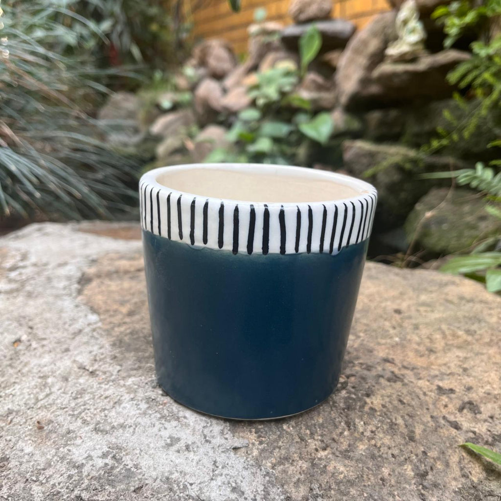  Coastal Edge Ceramic Pot