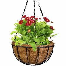  Coir Basket With Hanger-Set Of 2