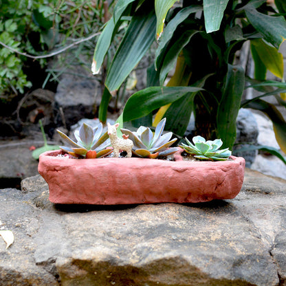  Crude Partitioned Rectangle Terracotta Pot
