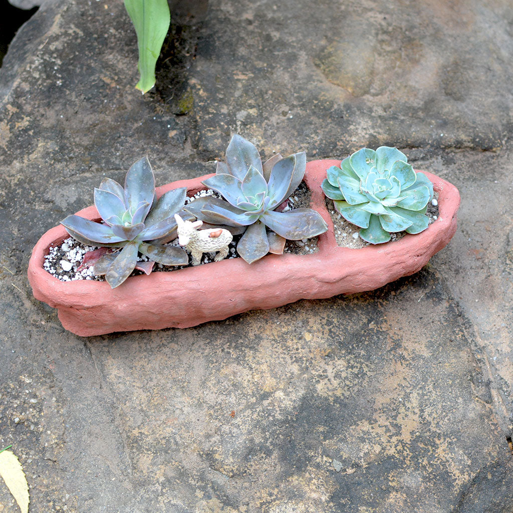  Crude Partitioned Rectangle Terracotta Pot