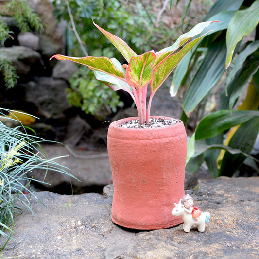  Set Of 2 Curved Cylindrical Terracotta Pot