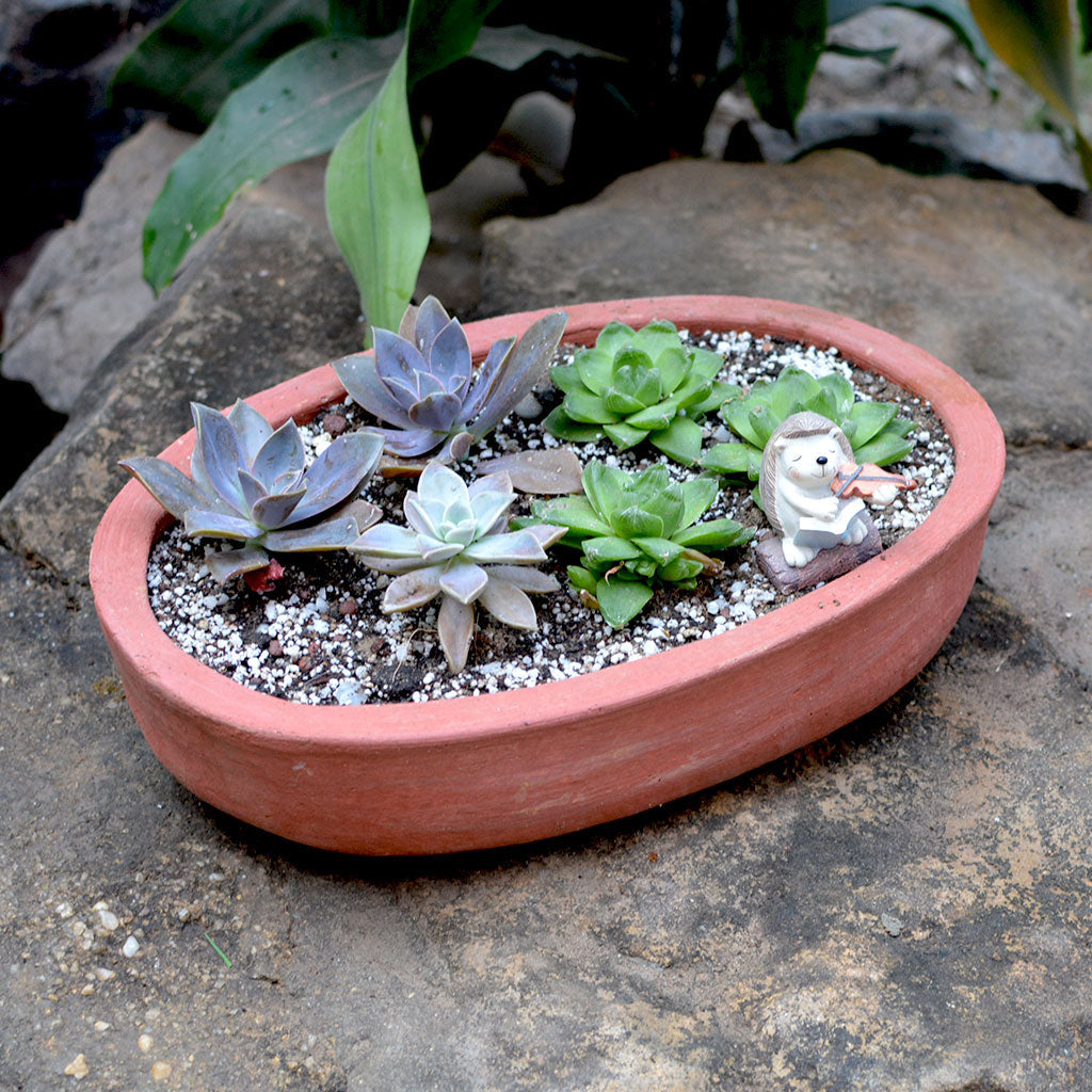  Set Of 2 Plain Oval Terracotta Pot