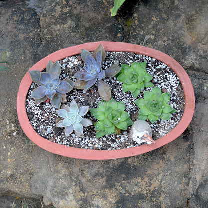  Set Of 2 Plain Oval Terracotta Pot