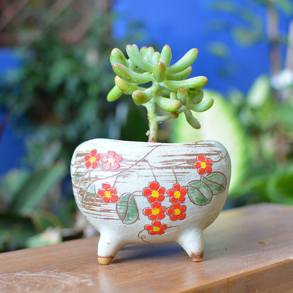  Etched In Bloom Ceramic Pot