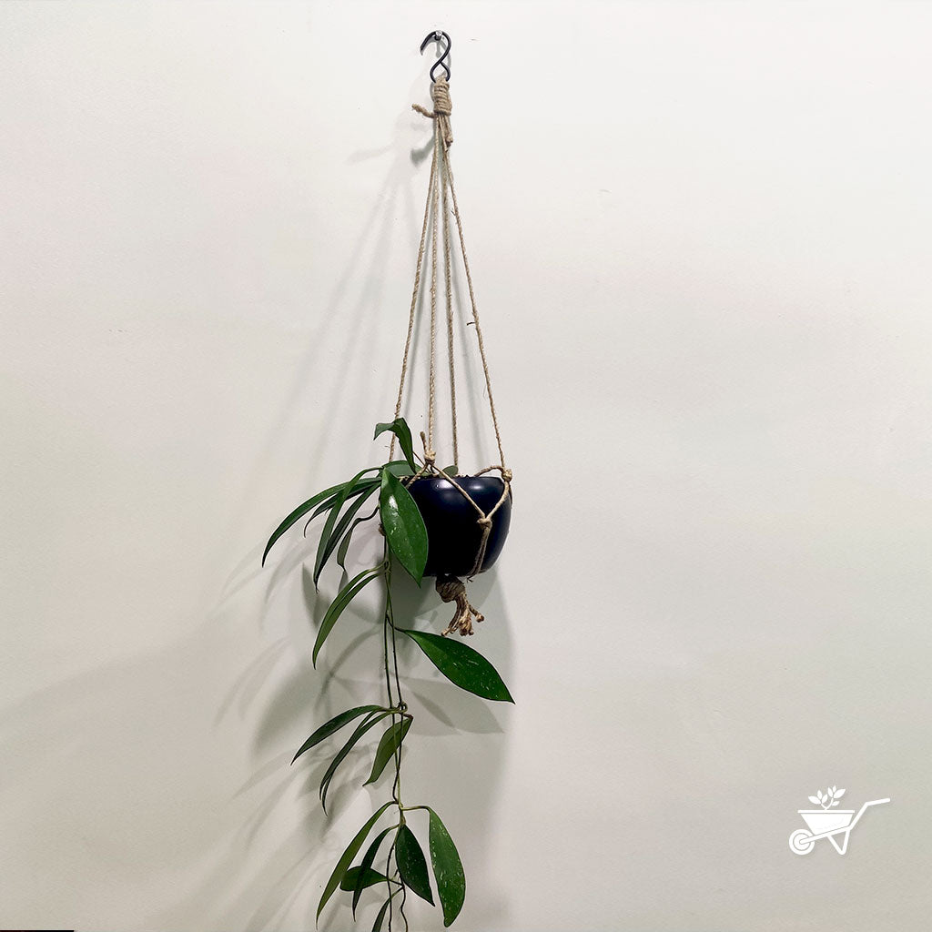  Galaxial Black Hanging Metal Pot With Rope