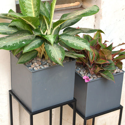  Gravel Grey Metal Pot With Stand (Set Of 2)