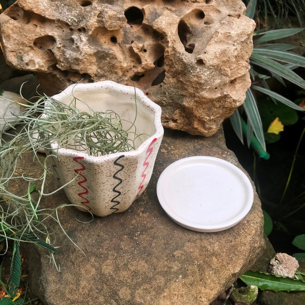  Zig Zag Cream Ceramic Pot With Tray