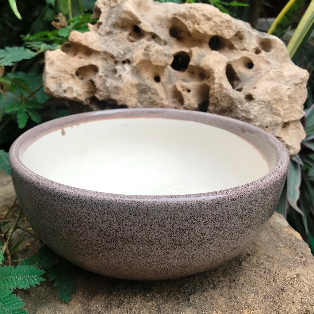 Exotic Metallic Bonsai Ceramic Pot (Medium)