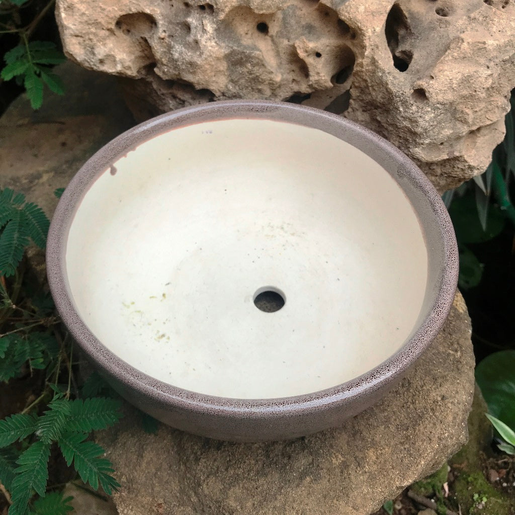  Exotic Metallic Bonsai Ceramic Pot (Medium)