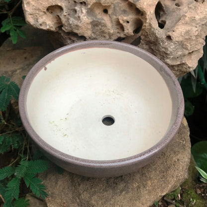  Exotic Metallic Bonsai Ceramic Pot (Medium)