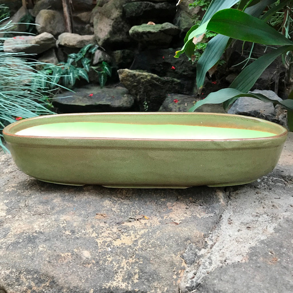  Chiselled Bonsai Ceramic Tray