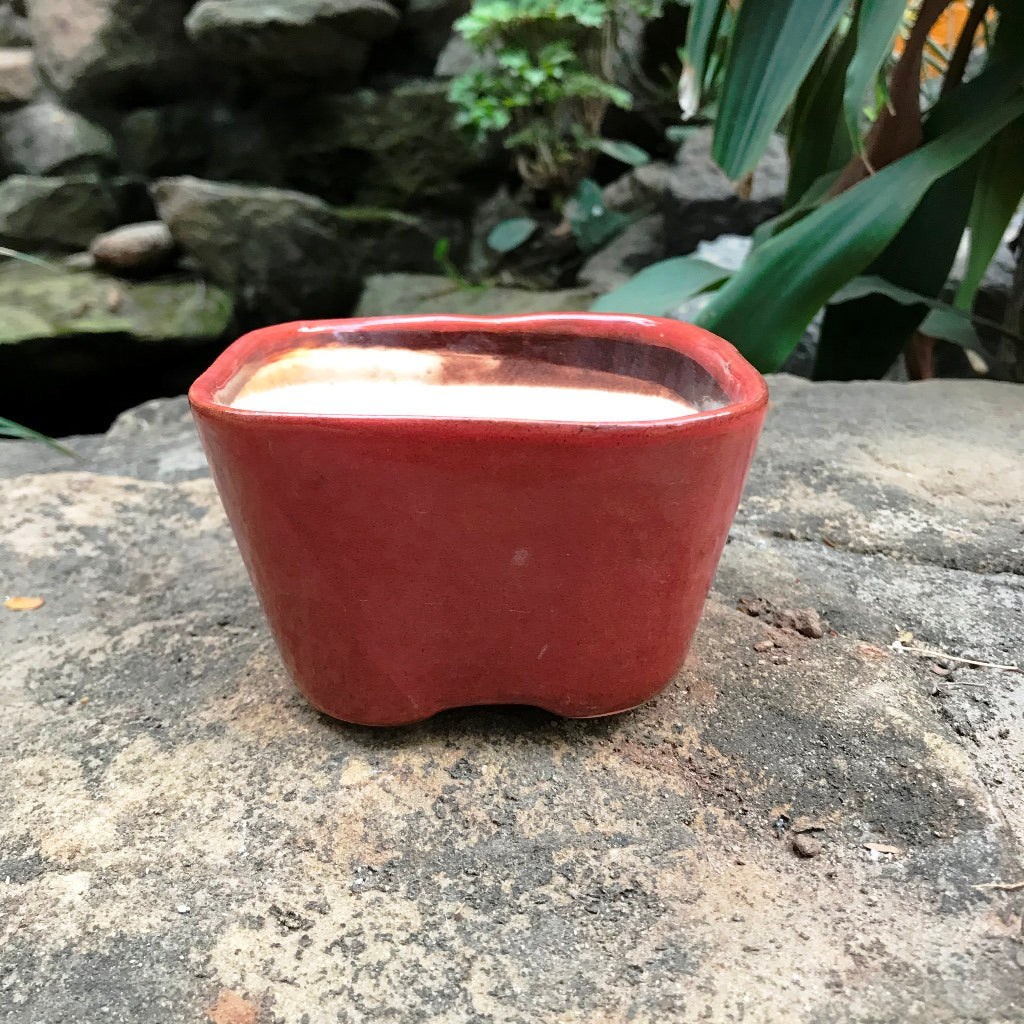  Square Bonsai Ceramic Planter