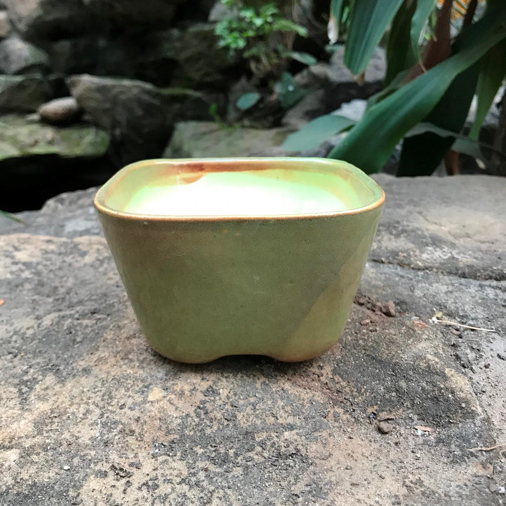  Square Bonsai Ceramic Planter
