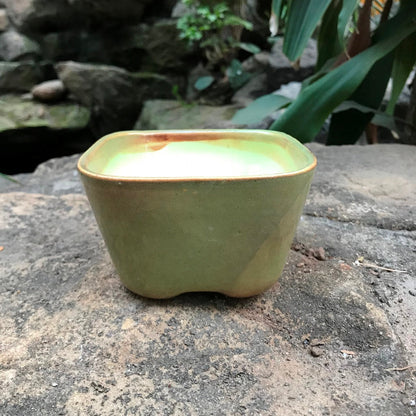 Square Bonsai Ceramic Planter