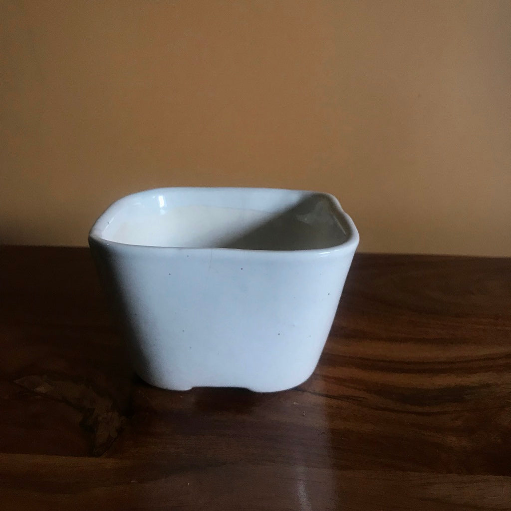  Square Bonsai Ceramic Planter