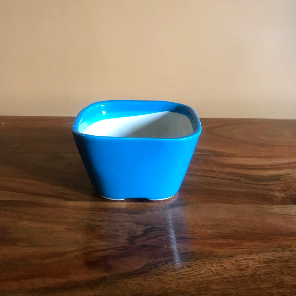  Square Bonsai Ceramic Planter