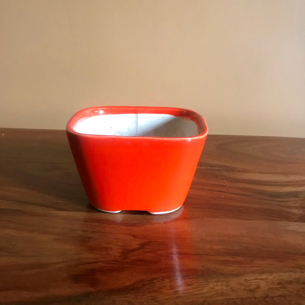  Square Bonsai Ceramic Planter