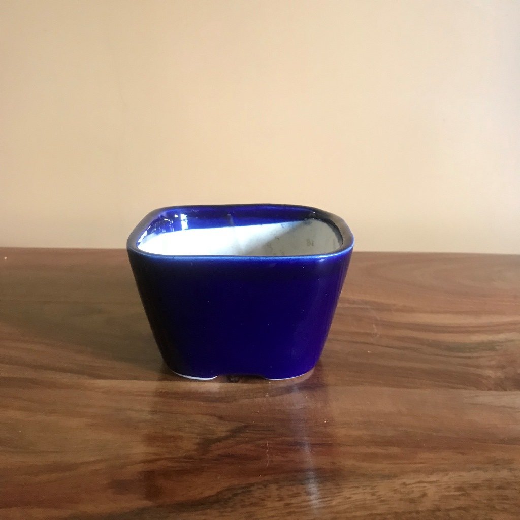  Square Bonsai Ceramic Planter