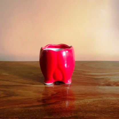  Sacred Lotus Ceramic Planter