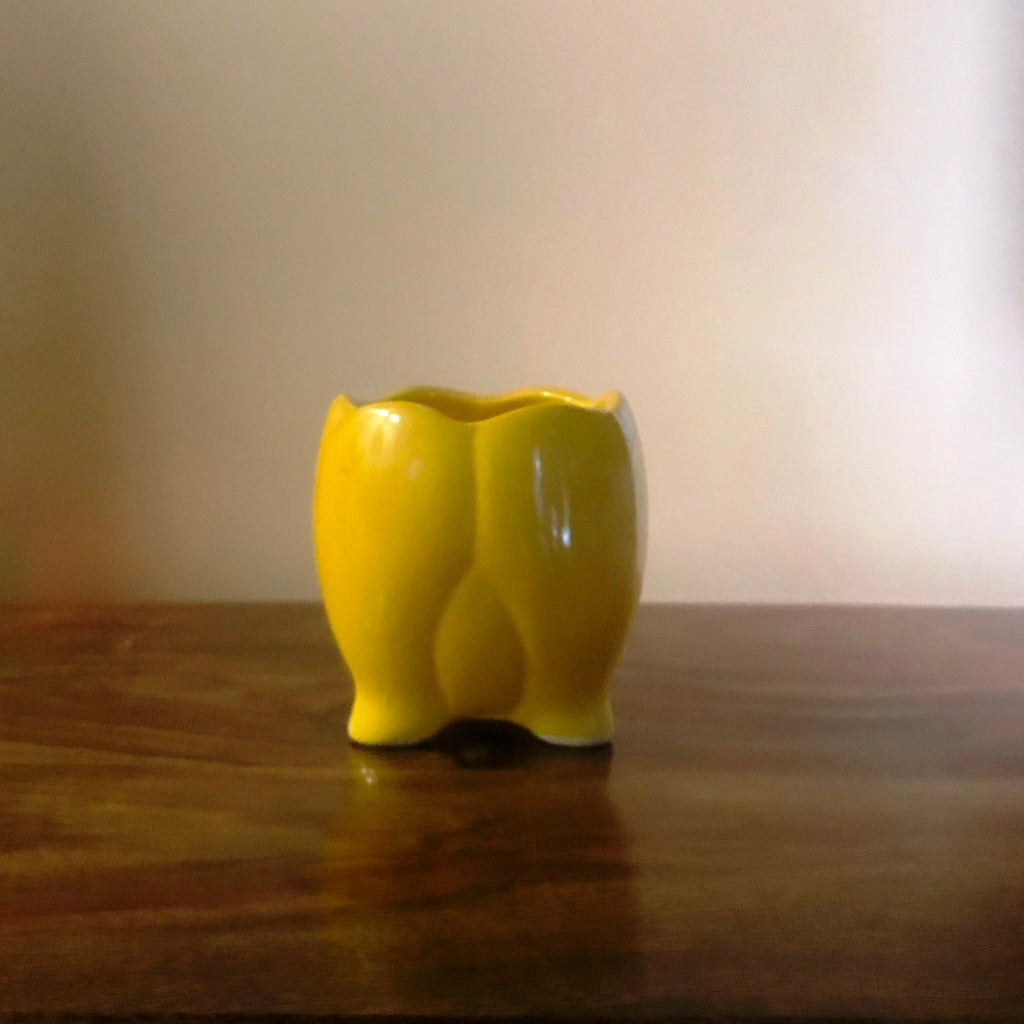  Sacred Lotus Ceramic Planter