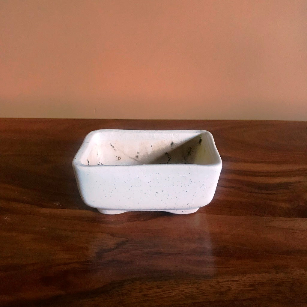  Rectangular Bonsai Ceramic Tray Set